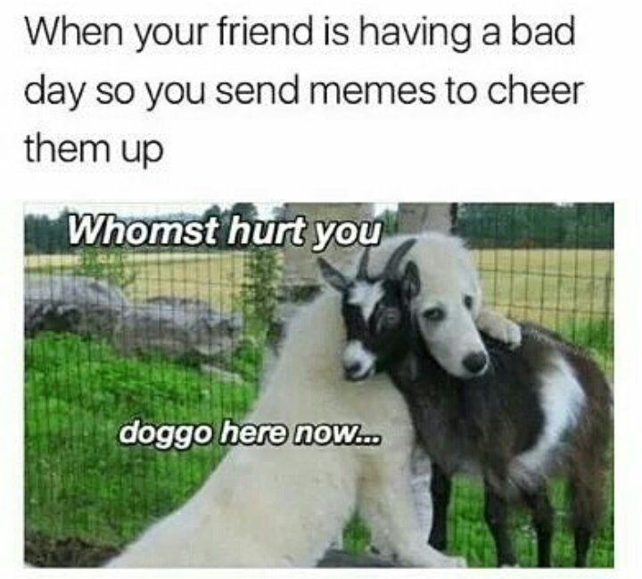 When your friend is having a bad day so you send memes to cheer them up Whomst hurt you doggo here now...
