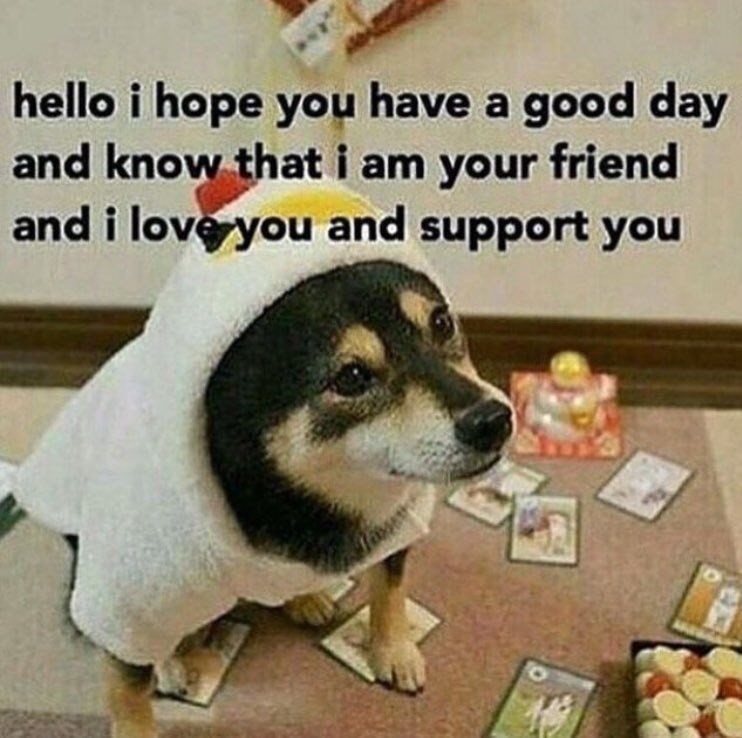 hello i hope you have a good day and know that i am your friend and i love you and support you
