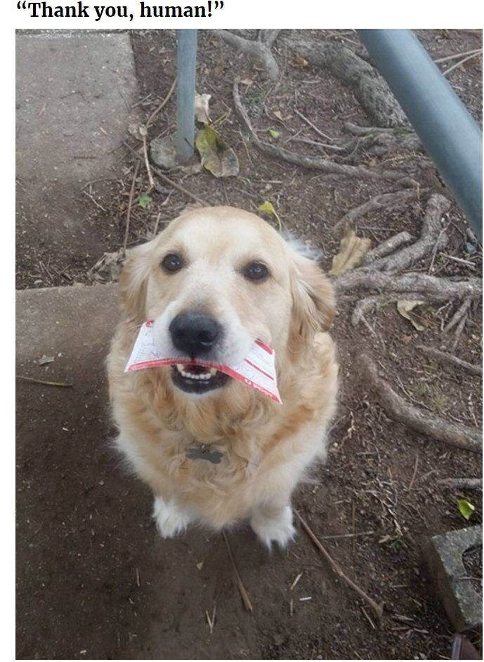 "Thank you, human!"