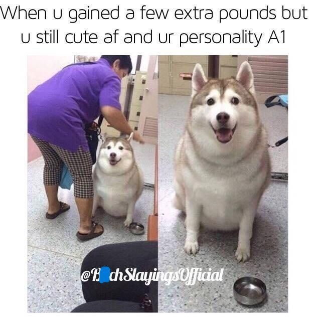 When u gained a few extra pounds but u still cute af and ur personality A1 @B chSlayings Official