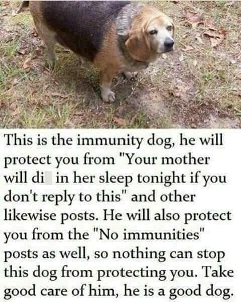 This is the immunity dog, he will protect you from "Your mother will di in her sleep tonight if you don't reply to this" and other likewise posts. He will also protect you from the "No immunities" posts as well, so nothing can stop this dog from protecting you. Take good care of him, he is a good dog.
