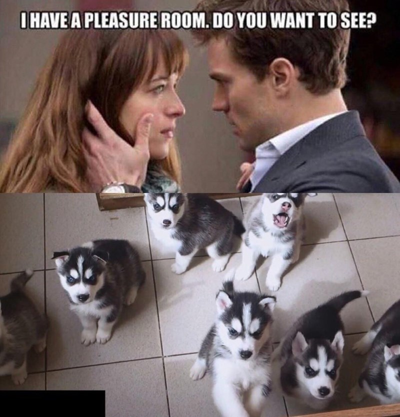 I HAVE A PLEASURE ROOM. DO YOU WANT TO SEE?