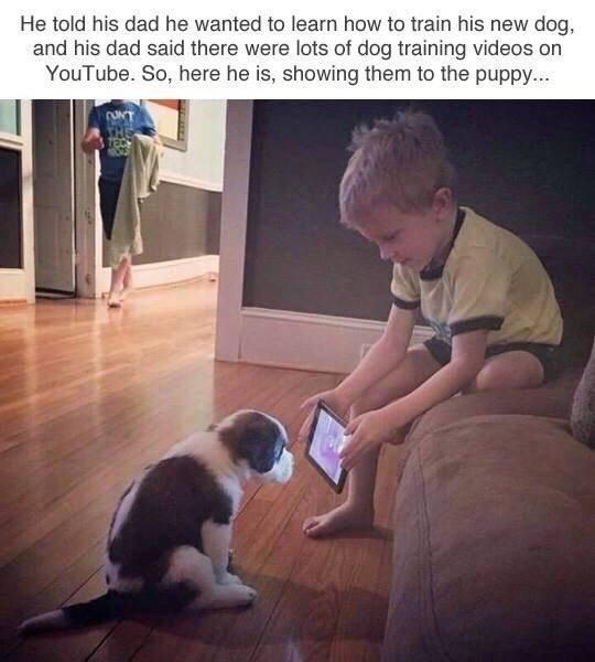 He told his dad he wanted to learn how to train his new dog, and his dad said there were lots of dog training videos on YouTube. So, here he is, showing them to the puppy...