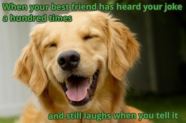 When your best friend has heard your joke a hundred times and still laughs when you tell it