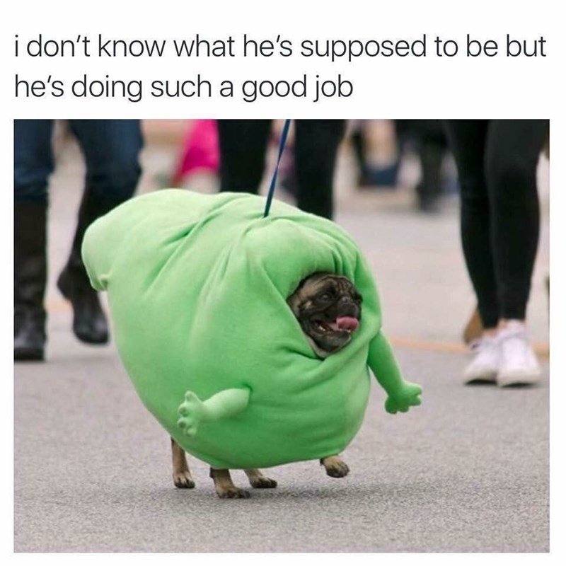 i don't know what he's supposed to be but he's doing such a good job