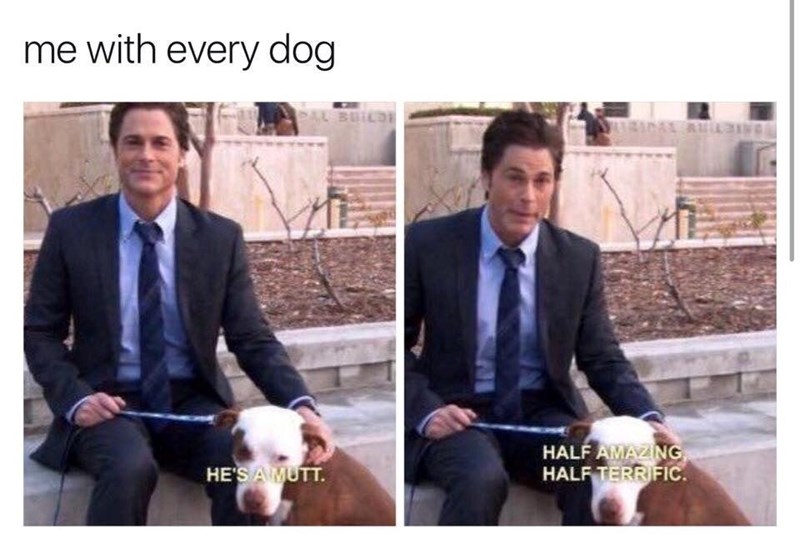 me with every dog PAL BUILDI HALF AMAZING HE'S A MUTT. HALF TERRIFIC.