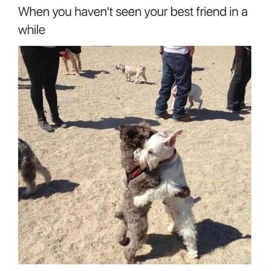 When you haven't seen your best friend in a while