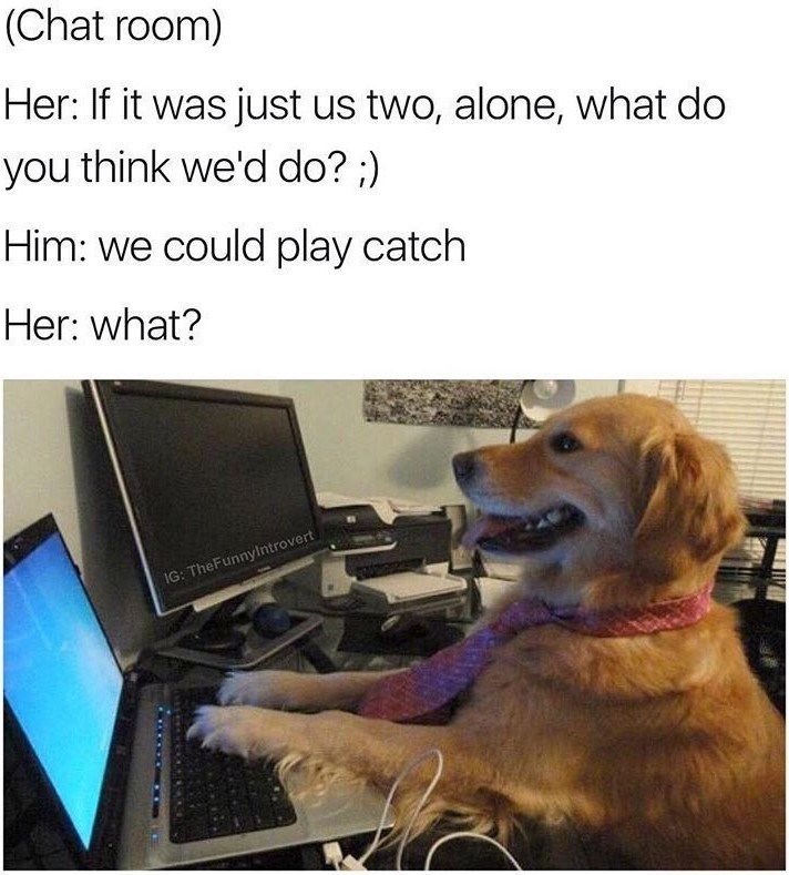 (Chat room) Her: If it was just us two, alone, what do you think we'd do? ;) Him: we could play catch Her: what? IG: TheFunnyIntrovert