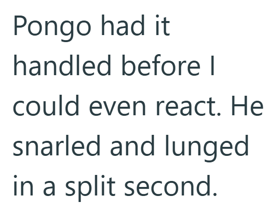 Pongo had it handled before I could even react. He snarled and lunged in a split second.