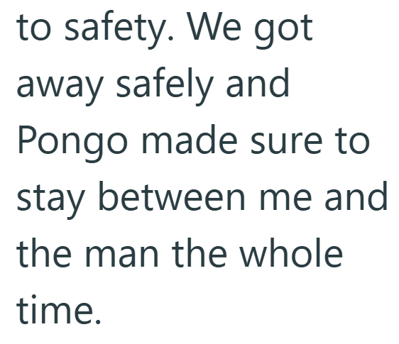 to safety. We got away safely and Pongo made sure to stay between me and the man the whole time.