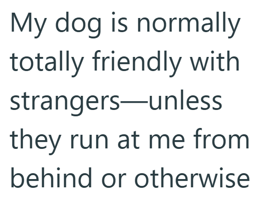 My dog is normally totally friendly with strangers-unless they run at me from behind or otherwise