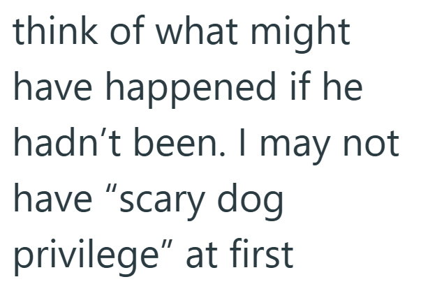 think of what might have happened if he hadn't been. I may not have "scary dog privilege" at first