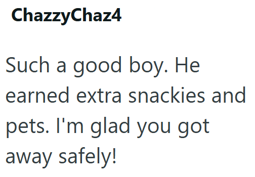 ChazzyChaz4 Such a good boy. He earned extra snackies and pets. I'm glad you got away safely!