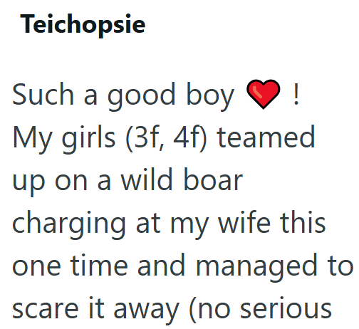 Teichopsie ! Such a good boy My girls (3f, 4f) teamed up on a wild boar charging at my wife this one time and managed to scare it away (no serious