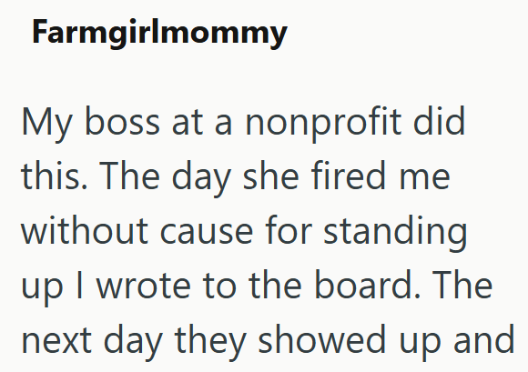 Farmgirlmommy My boss at a nonprofit did this. The day she fired me without cause for standing up I wrote to the board. The next day they showed up and