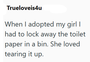 Trueloveis4u When I adopted my girl I had to lock away the toilet paper in a bin. She loved tearing it up.