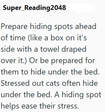 Super_Reading2048 Prepare hiding spots ahead of time (like a box on it's side with a towel draped over it.) Or be prepared for them to hide under the bed. Stressed out cats often hide under the bed. A hiding spot helps ease their stress.