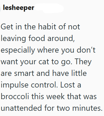 lesheeper Get in the habit of not leaving food around, especially where you don't want your cat to go. They are smart and have little impulse control. Lost a broccoli this week that was unattended for two minutes.