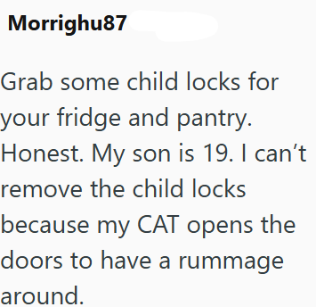 Morrighu87 Grab some child locks for your fridge and pantry. Honest. My son is 19. I can't remove the child locks because my CAT opens the doors to have a rummage around.