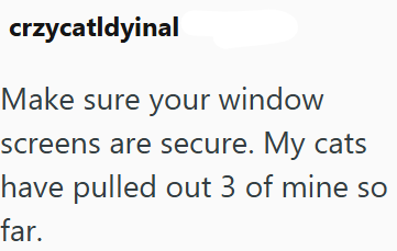 crzycatldyinal Make sure your window screens are secure. My cats have pulled out 3 of mine so far.
