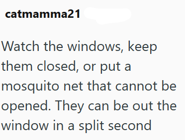 catmamma21 Watch the windows, keep them closed, or put a mosquito net that cannot be opened. They can be out the window in a split second