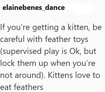 elainebenes_dance If you're getting a kitten, be careful with feather toys (supervised play is Ok, but lock them up when you're not around). Kittens love to eat feathers