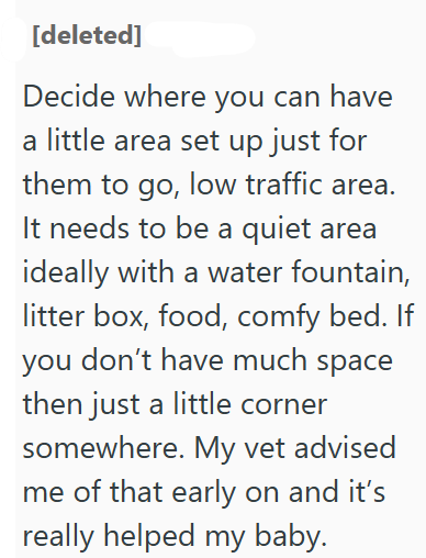 [deleted] Decide where you can have a little area set up just for them to go, low traffic area. It needs to be a quiet area ideally with a water fountain, litter box, food, comfy bed. If you don't have much space then just a little corner somewhere. My vet advised me of that early on and it's really helped my baby.