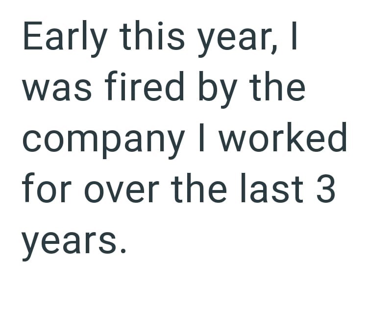 Early this year, I was fired by the company I worked for over the last 3 years.