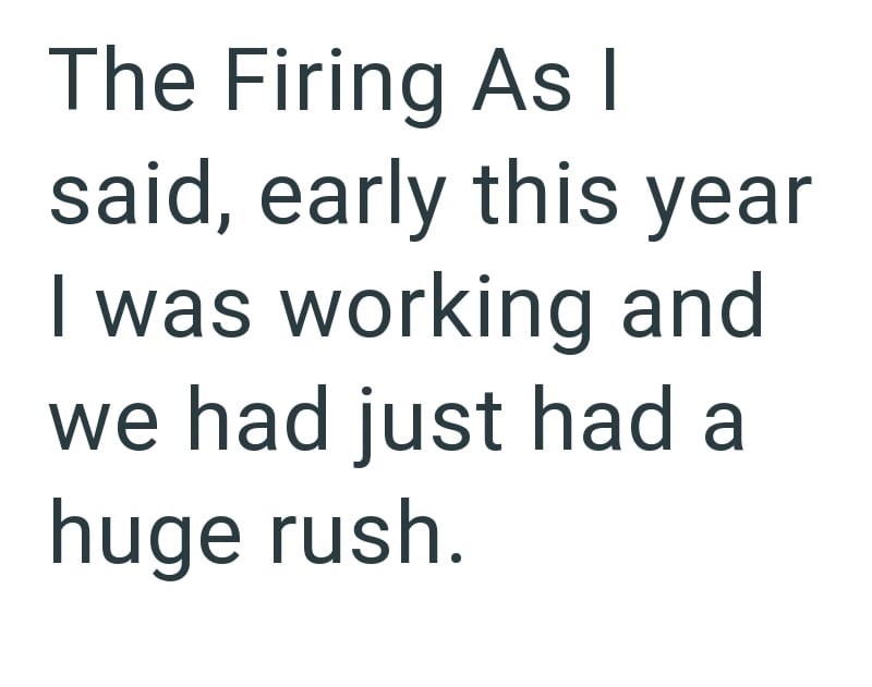 The Firing As I said, early this year I was working and we had just had a huge rush.