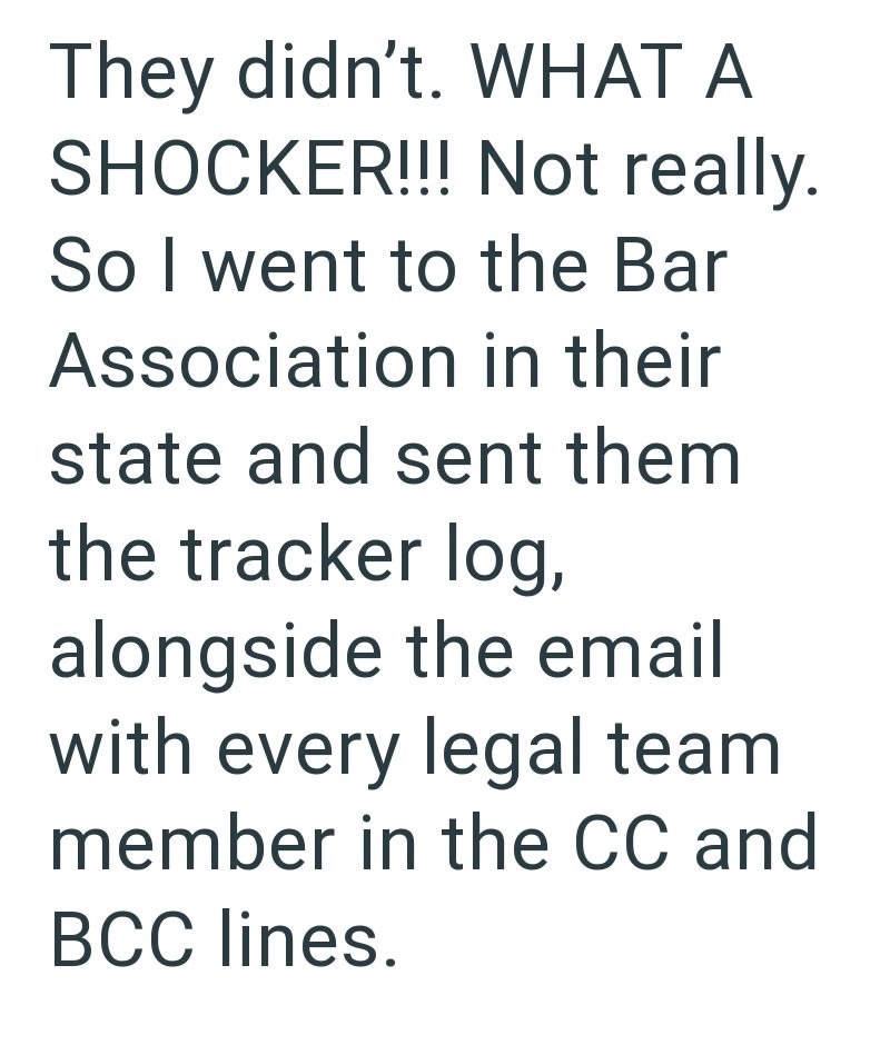 They didn't. WHAT A SHOCKER!!! Not really. So I went to the Bar Association in their state and sent them the tracker log, alongside the email with every legal team member in the CC and BCC lines.