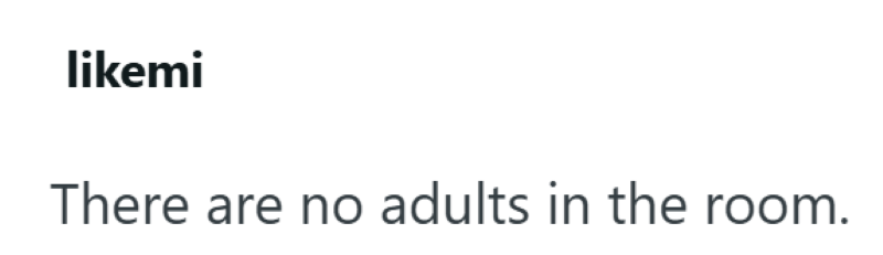 likemi There are no adults in the room.