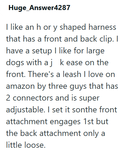 Huge Answer4287 I like an h or y shaped harness that has a front and back clip. I have a setup I like for large dogs with aj k ease on the front. There's a leash I love on amazon by three guys that has 2 connectors and is super adjustable. I set it sonthe front attachment engages 1st but the back attachment only a little loose.