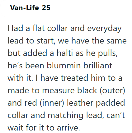 Van-Life_25 Had a flat collar and everyday lead to start, we have the same but added a halti as he pulls, he's been blummin brilliant with it. I have treated him to a made to measure black (outer) and red (inner) leather padded collar and matching lead, can't wait for it to arrive.