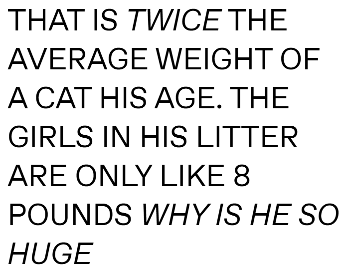 THAT IS TWICE THE AVERAGE WEIGHT OF A CAT HIS AGE. THE GIRLS IN HIS LITTER ARE ONLY LIKE 8 POUNDS WHY IS HE SO HUGE
