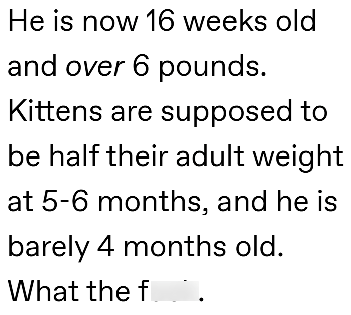 He is now 16 weeks old and over 6 pounds. Kittens are supposed to be half their adult weight at 5-6 months, and he is barely 4 months old. What the f