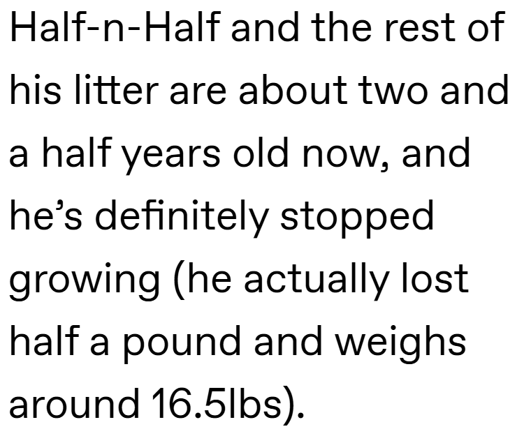 Half-n-Half and the rest of his litter are about two and a half years old now, and he's definitely stopped growing (he actually lost half a pound and weighs around 16.5lbs).