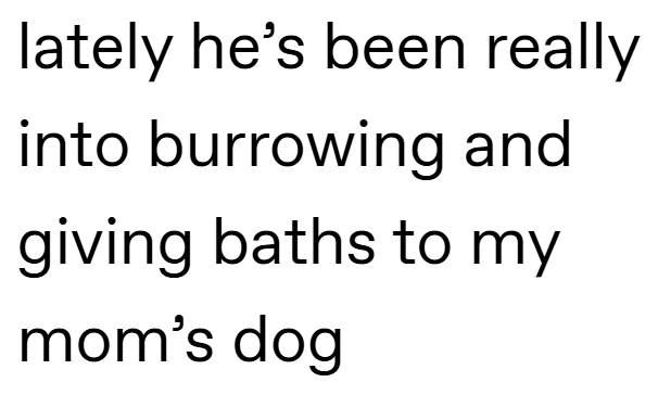 lately he's been really into burrowing and giving baths to my mom's dog