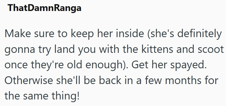 ThatDamnRanga Make sure to keep her inside (she's definitely gonna try land you with the kittens and scoot once they're old enough). Get her spayed. Otherwise she'll be back in a few months for the same thing!