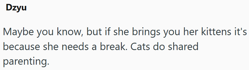 Dzyu Maybe you know, but if she brings you her kittens it's because she needs a break. Cats do shared parenting.