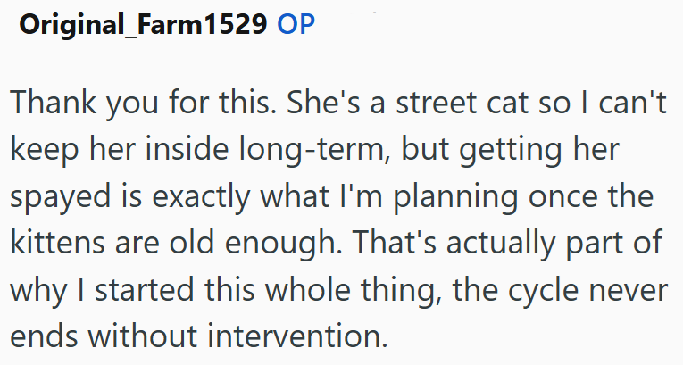 Original_Farm1529 OP Thank you for this. She's a street cat so I can't keep her inside long-term, but getting her spayed is exactly what I'm planning once the kittens are old enough. That's actually part of why I started this whole thing, the cycle never ends without intervention.
