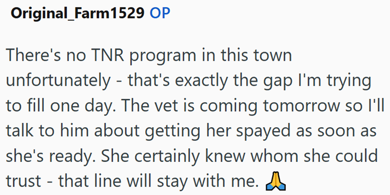 Original_Farm1529 OP There's no TNR program in this town - unfortunately that's exactly the gap I'm trying to fill one day. The vet is coming tomorrow so I'll talk to him about getting her spayed as soon as she's ready. She certainly knew whom she could trust - that line will stay with me. A