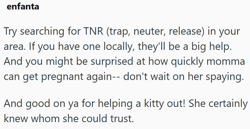 enfanta Try searching for TNR (trap, neuter, release) in your area. If you have one locally, they'll be a big help. And you might be surprised at how quickly momma can get pregnant again-- don't wait on her spaying. And good on ya for helping a kitty out! She certainly knew whom she could trust.