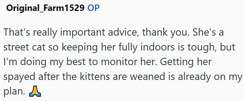 Original_Farm1529 OP That's really important advice, thank you. She's a street cat so keeping her fully indoors is tough, but I'm doing my best to monitor her. Getting her spayed after the kittens are weaned is already on my plan. A