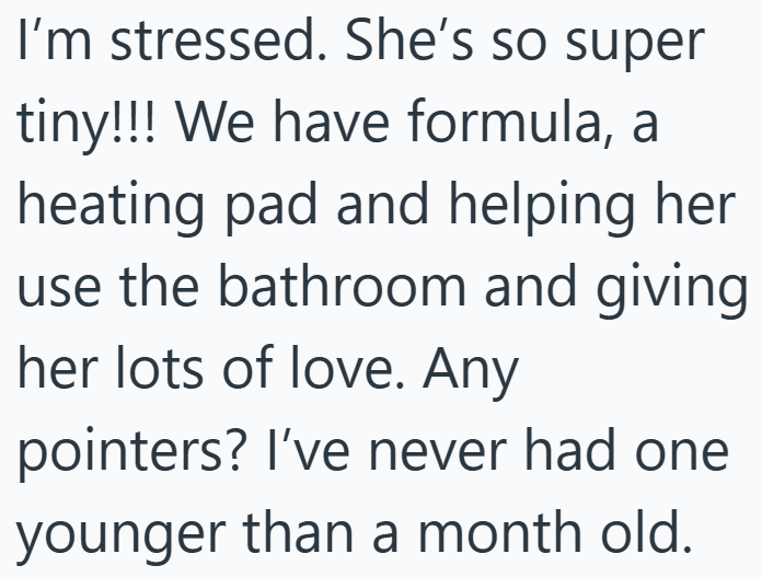 I'm stressed. She's so super tiny!!! We have formula, a heating pad and helping her use the bathroom and giving her lots of love. Any pointers? I've never had one younger than a month old.