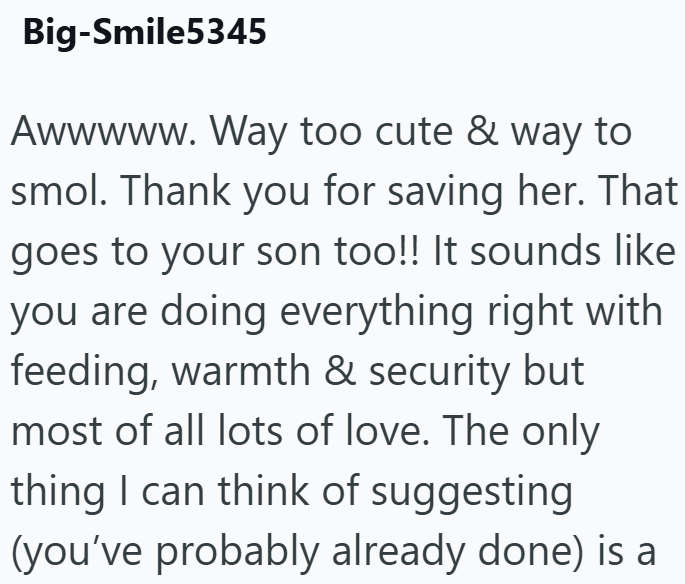 Big-Smile5345 Awwwww. Way too cute & way to smol. Thank you for saving her. That goes to your son too!! It sounds like you are doing everything right with feeding, warmth & security but most of all lots of love. The only thing I can think of suggesting (you've probably already done) is a