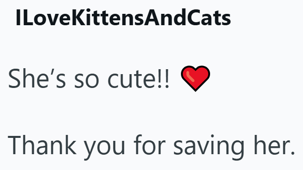 ILoveKittensAndCats She's so cute!! Thank you for saving her.