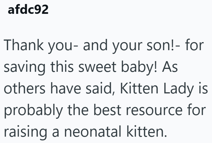 afdc92 Thank you- and your son!- for saving this sweet baby! As others have said, Kitten Lady is probably the best resource for raising a neonatal kitten.