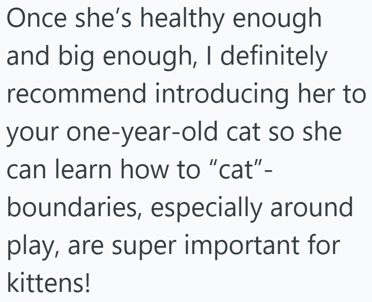 Once she's healthy enough and big enough, I definitely recommend introducing her to your one-year-old cat so she can learn how to "cat"- boundaries, especially around play, are super important for kittens!