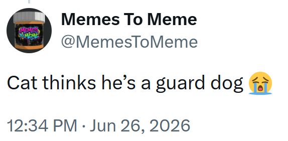 Memes To Meme MEME @MemesToMeme Cat thinks he's a guard dog 12:34 PM Jun 26, 2026