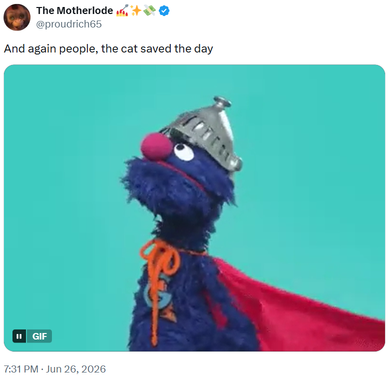 The Motherlode. @proudrich65 And again people, the cat saved the day II GIF 7:31 PM • Jun 26, 2026